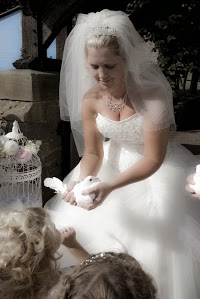 Wedding Doves Wales 1078496 Image 1